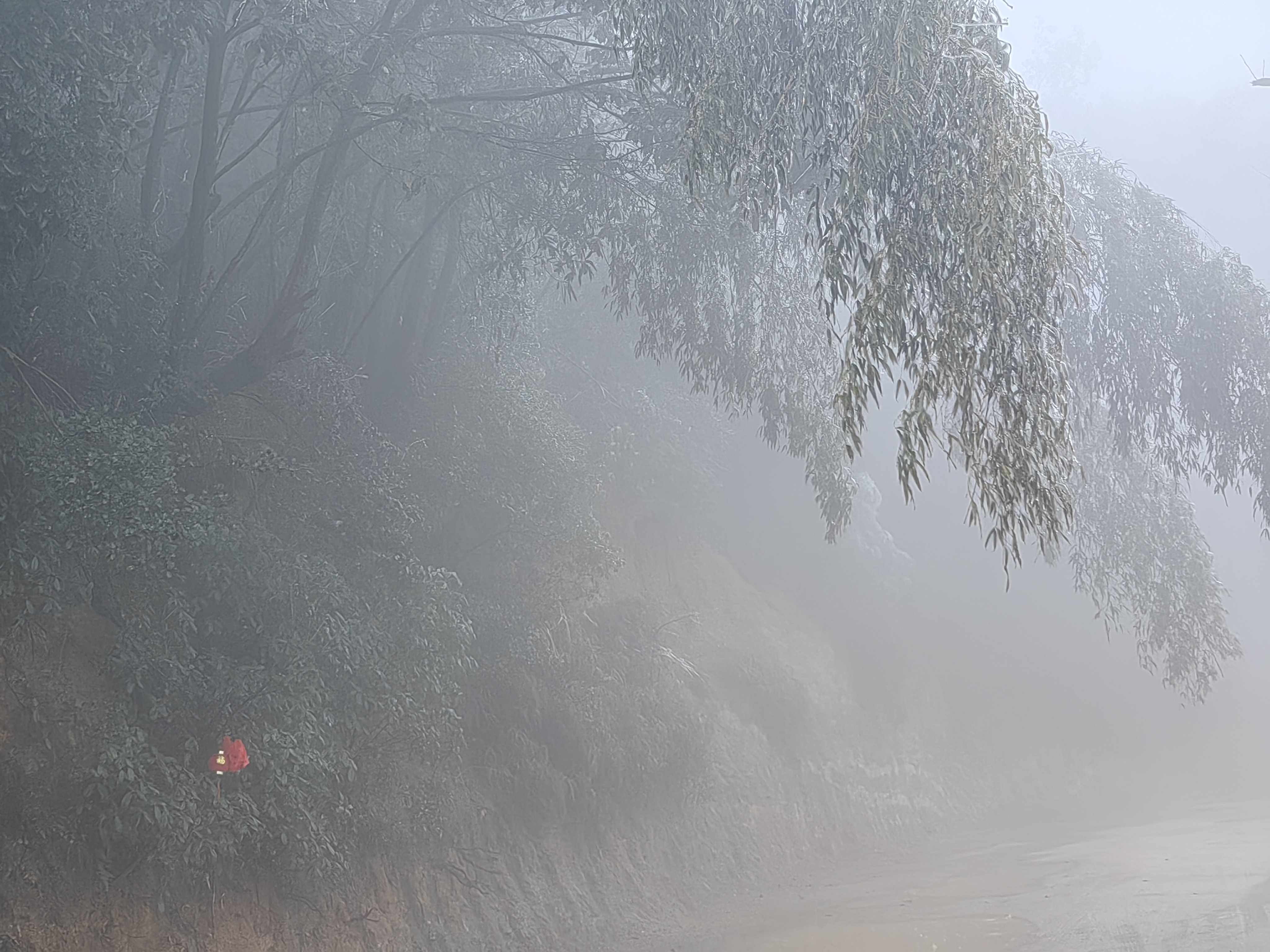南康天气(南康天气预报40天准确一览表)