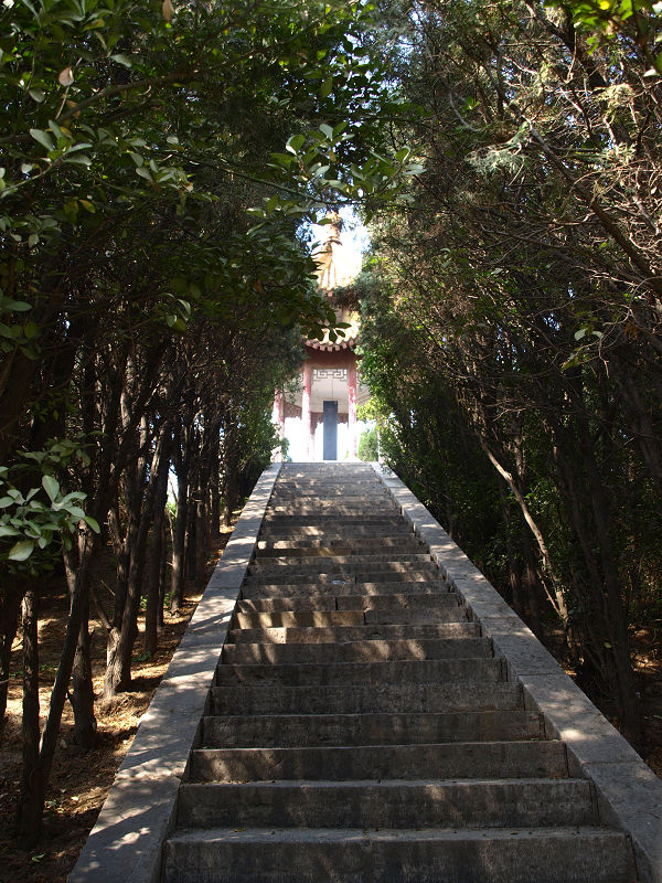 河南渑池(河南渑池县是哪个市)