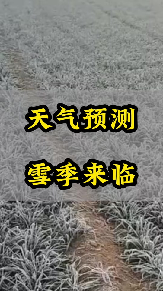 湖北黄冈天气(湖北黄冈天气预报15天查询百度)