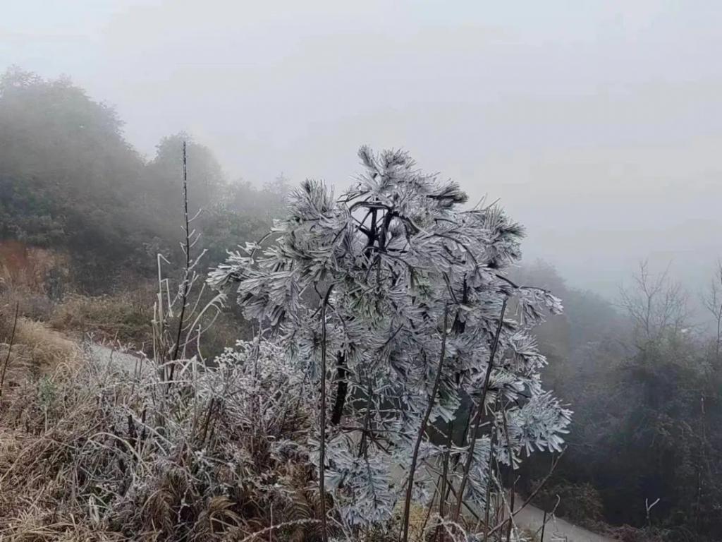 石阡天气(桂林天气预报15天准确一览表)
