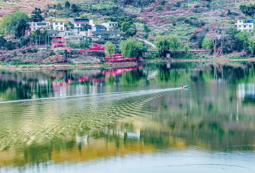 龙泉驿天气(龙泉驿天气预报15天查询当地)