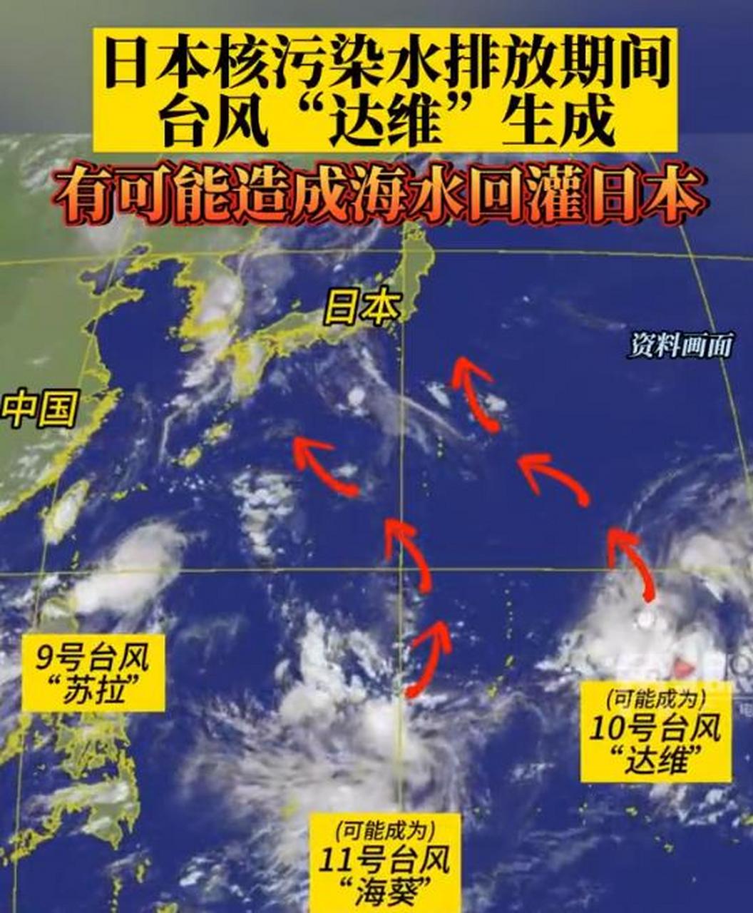台风达维(台风达维2000)