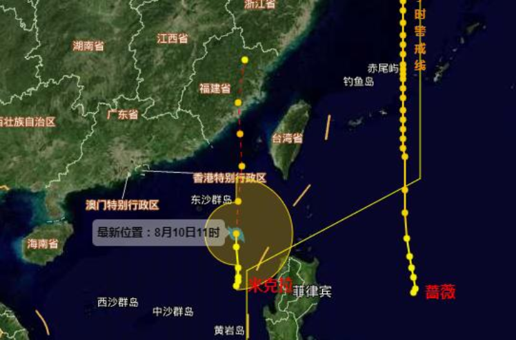 厦门台风米克拉(厦门台风米克拉事件)