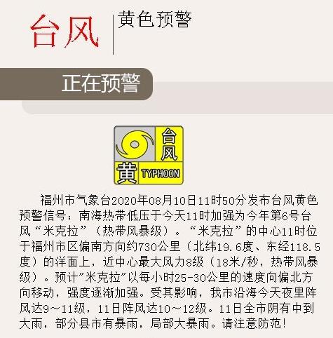 厦门台风米克拉(厦门台风米克拉事件)