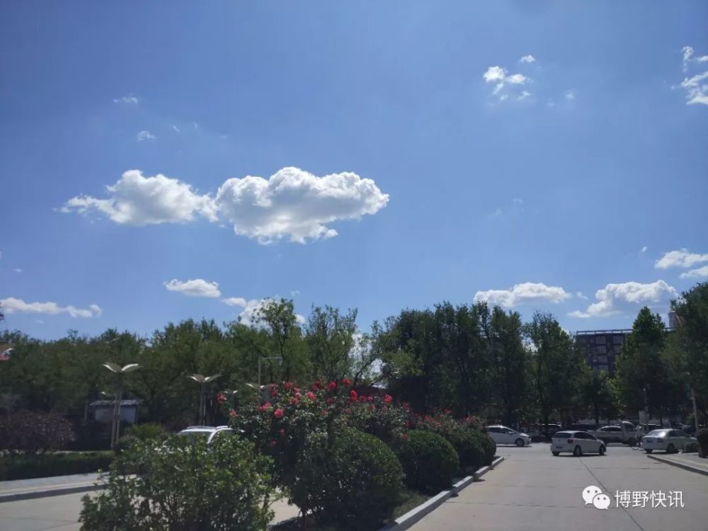 博野天气(博野天气预报)