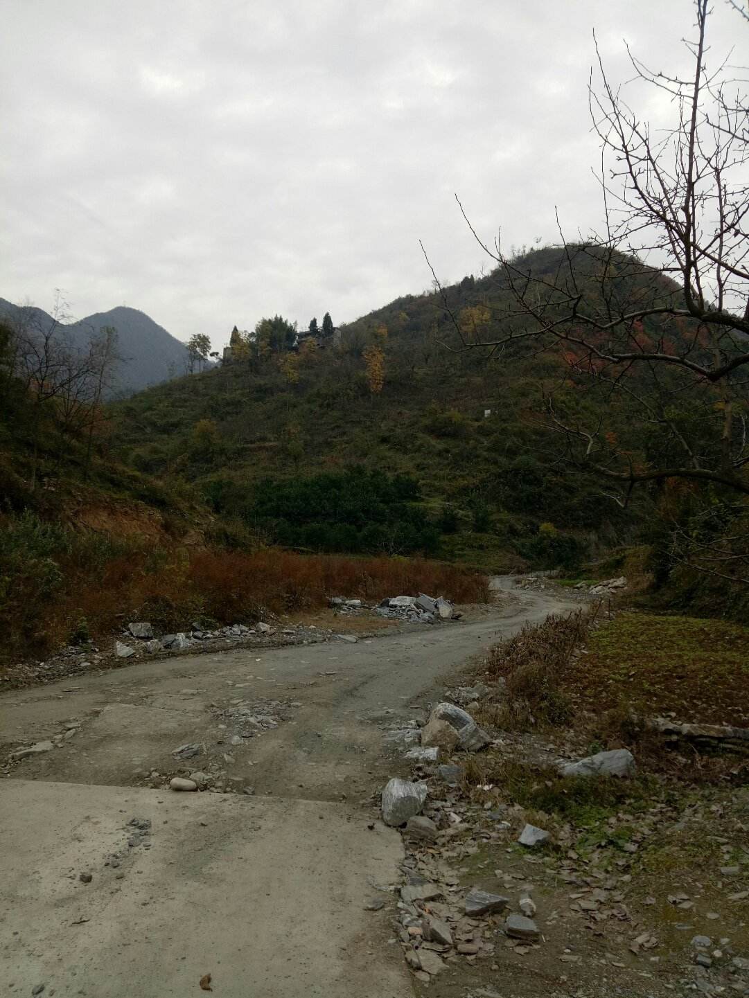博野天气(博野天气预报)