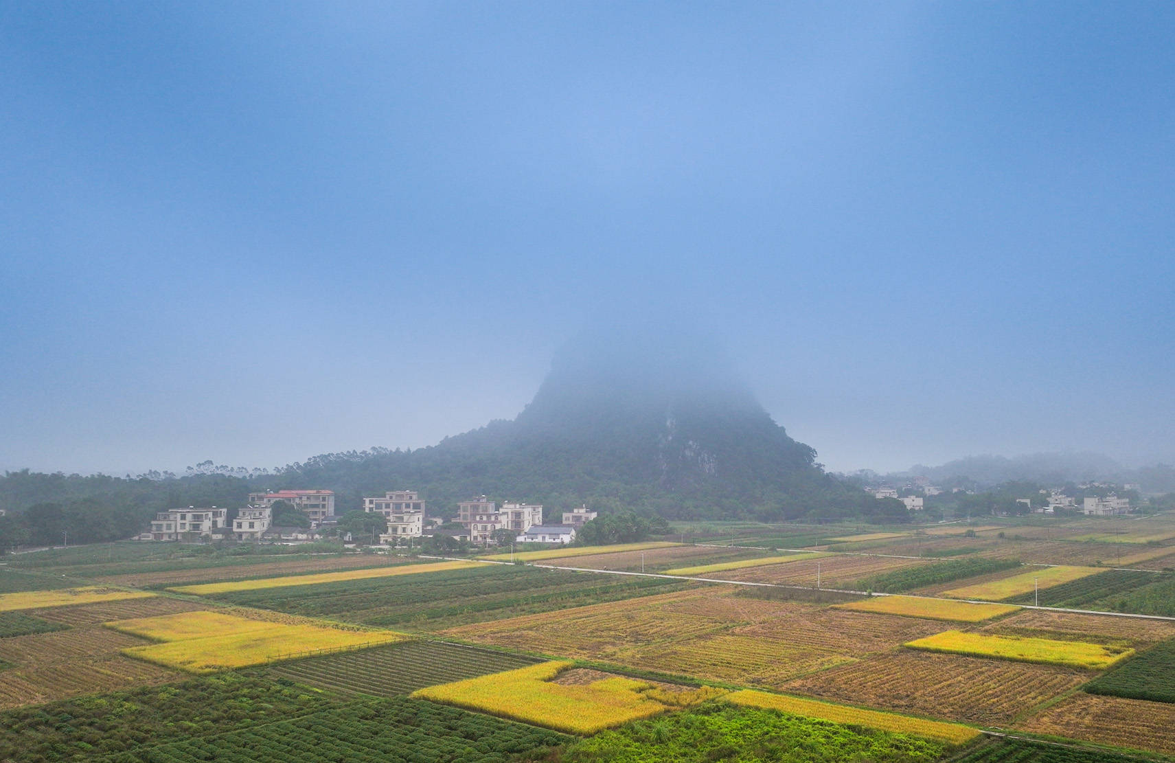 阳春天气(阳春天气预报15天准确一览表)