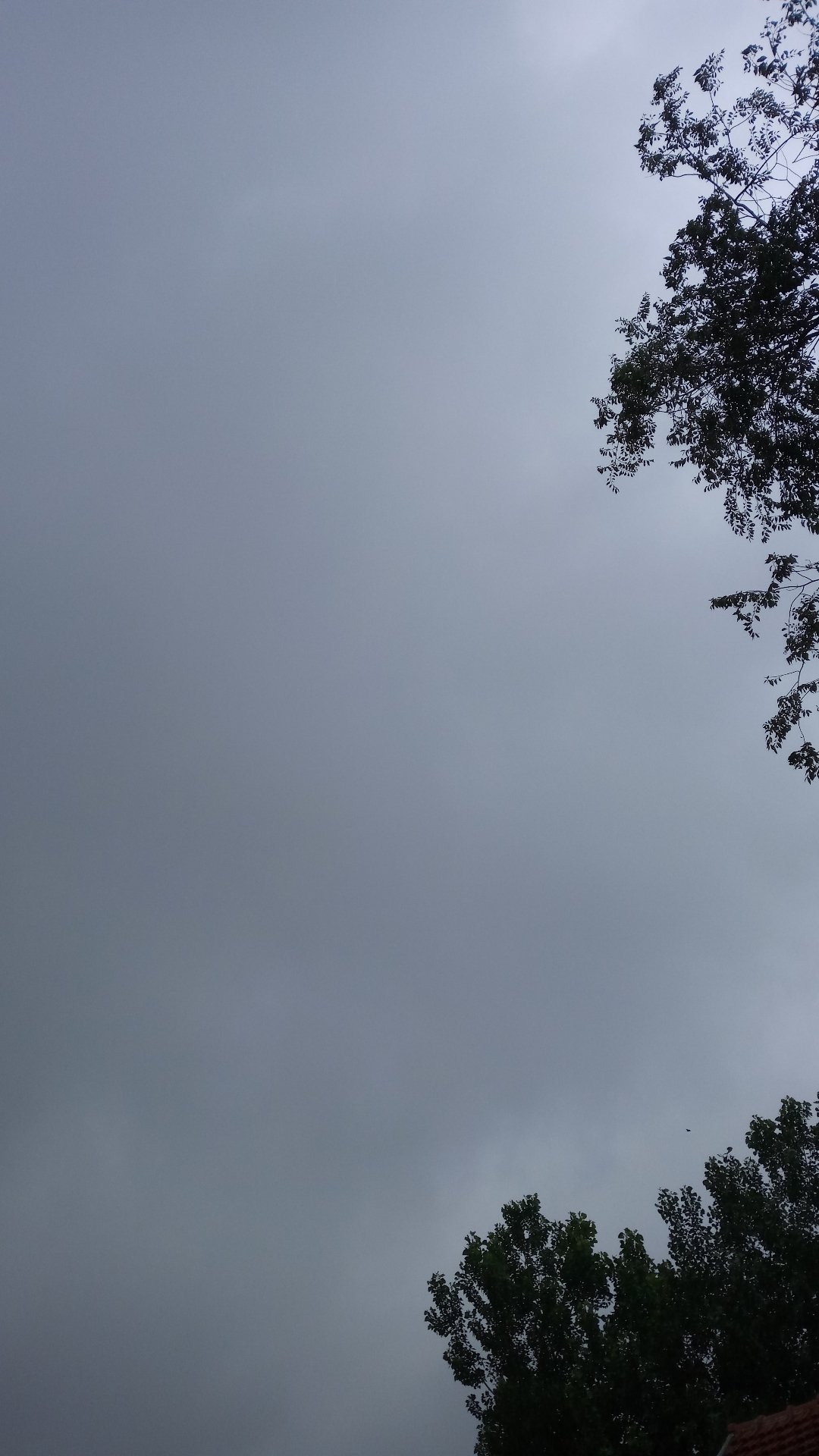 东明天气(东明天气预报15天查询结果)