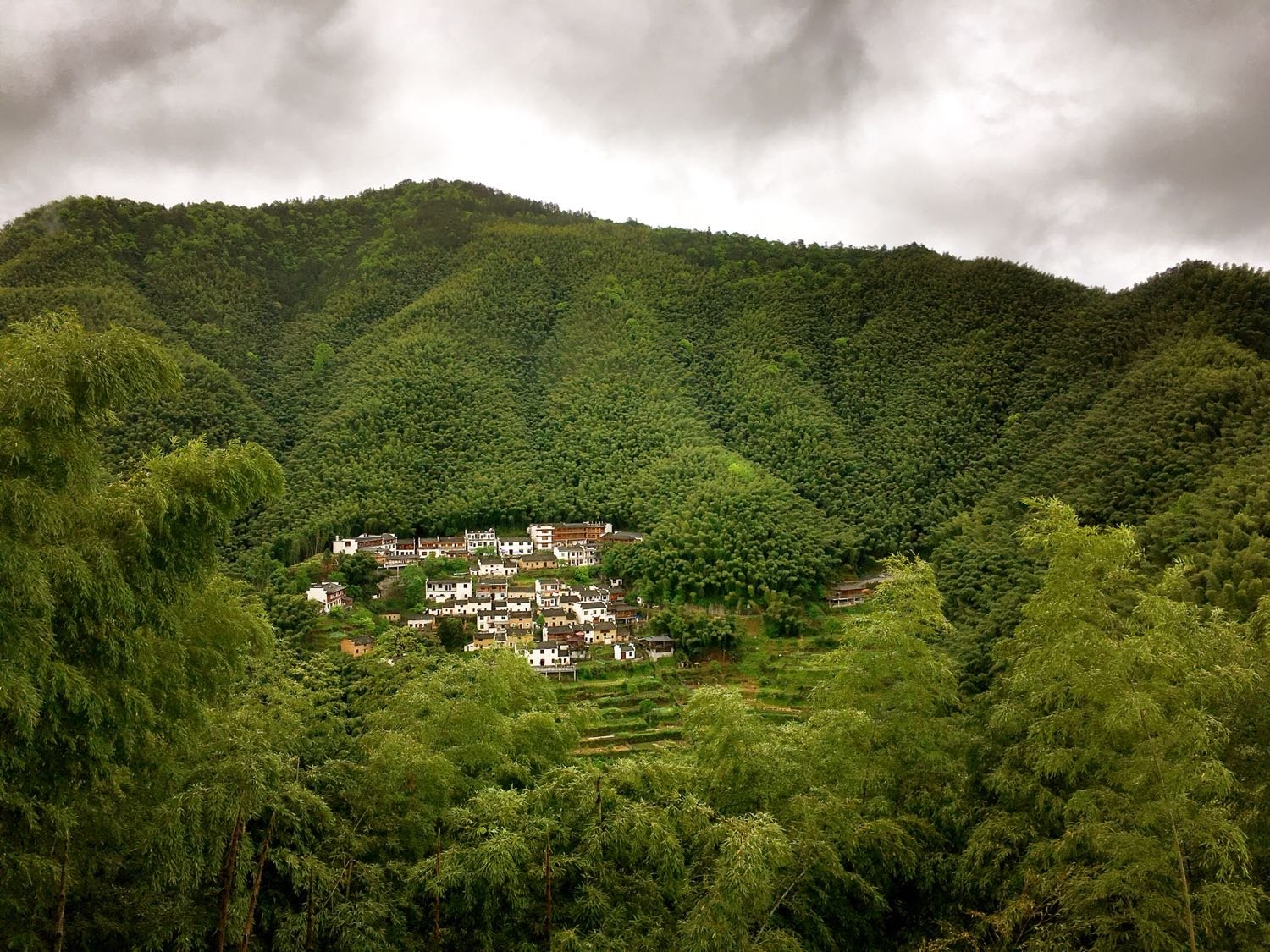 黟县天气预报(黟县县委书记被查)