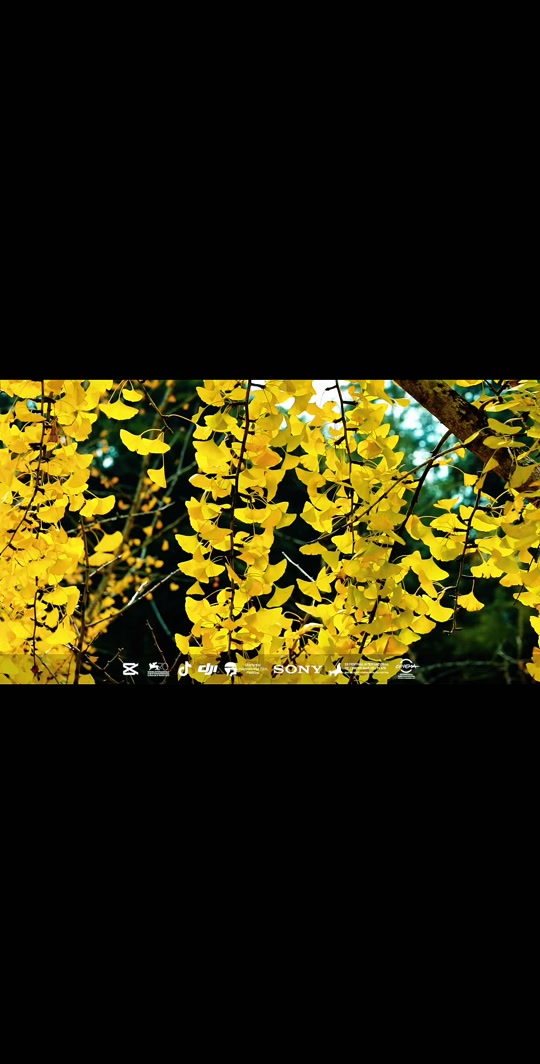 南雄天气(南雄天气24小时预报)