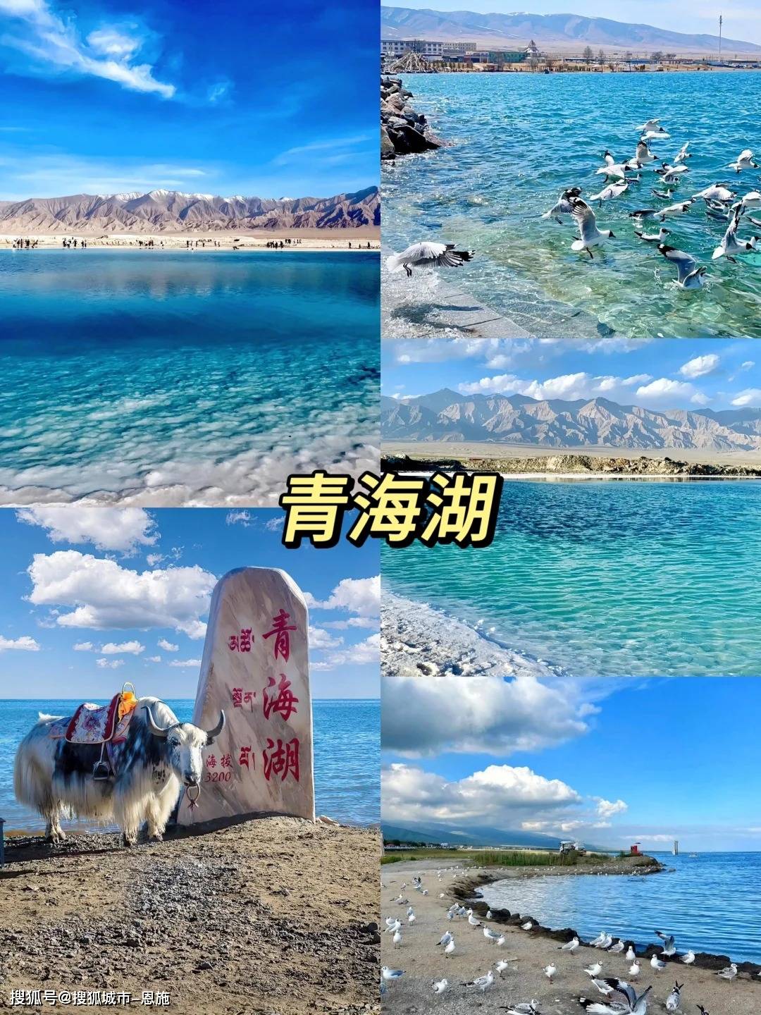 青海湖天气(青海湖天气预报30天准确 一个月)