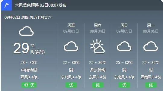 上海天气预报15天(上海天气预报15天准确天气查询表)