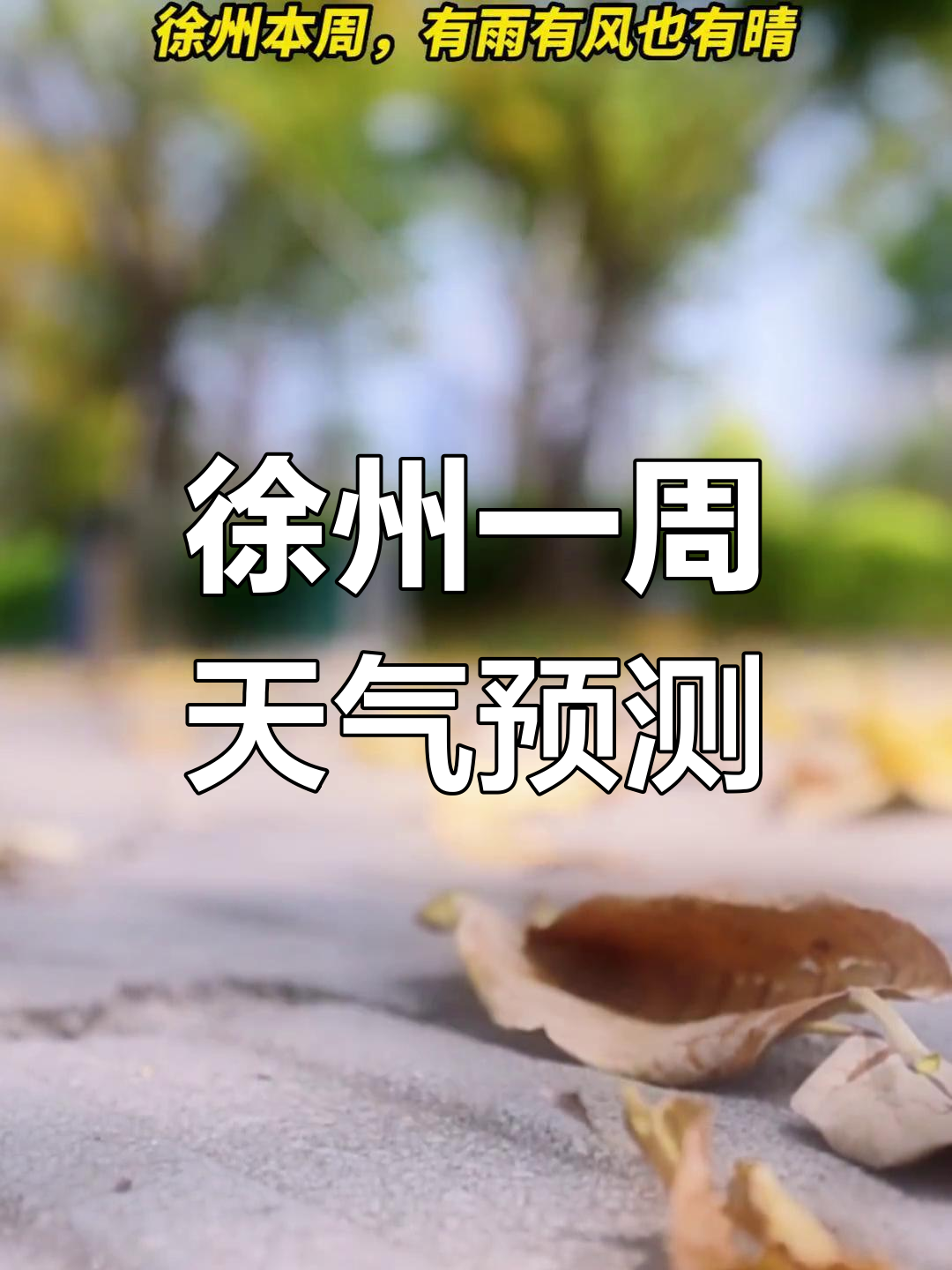 徐州天气预报查询一周(徐州天气15天精确预报)