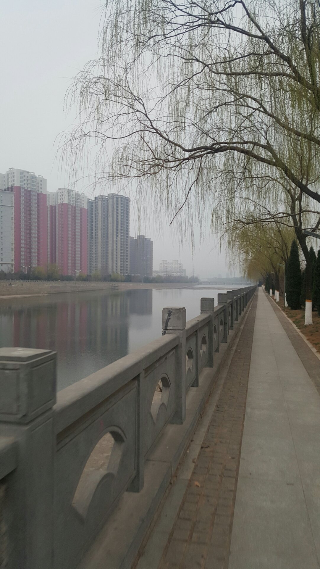 义马天气预报(义马十大有钱人)