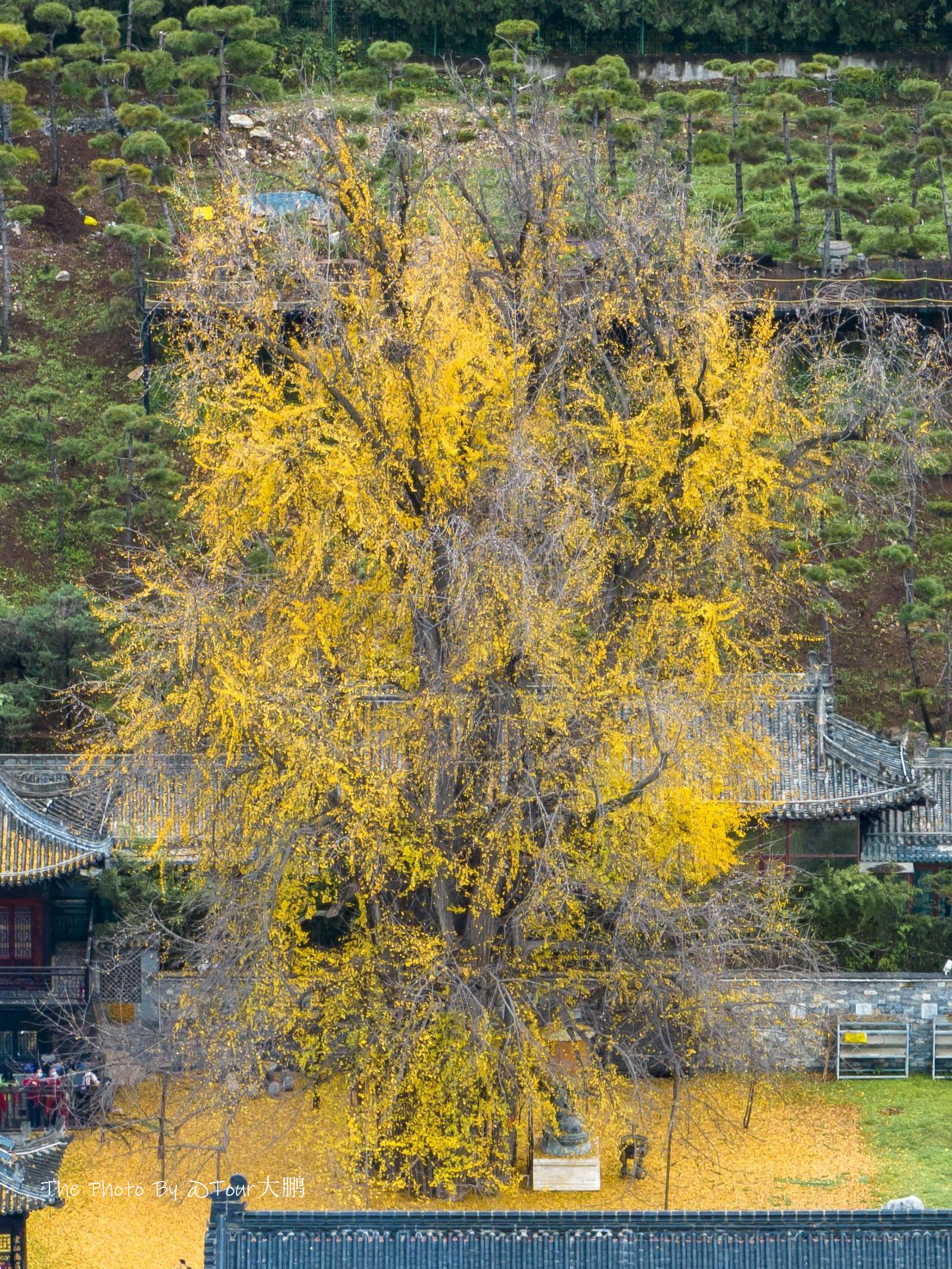 陕西省西安市天气(西安最近天气预报7天)