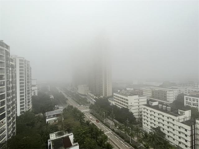 大雾天气(大雾天气对人体有害吗)