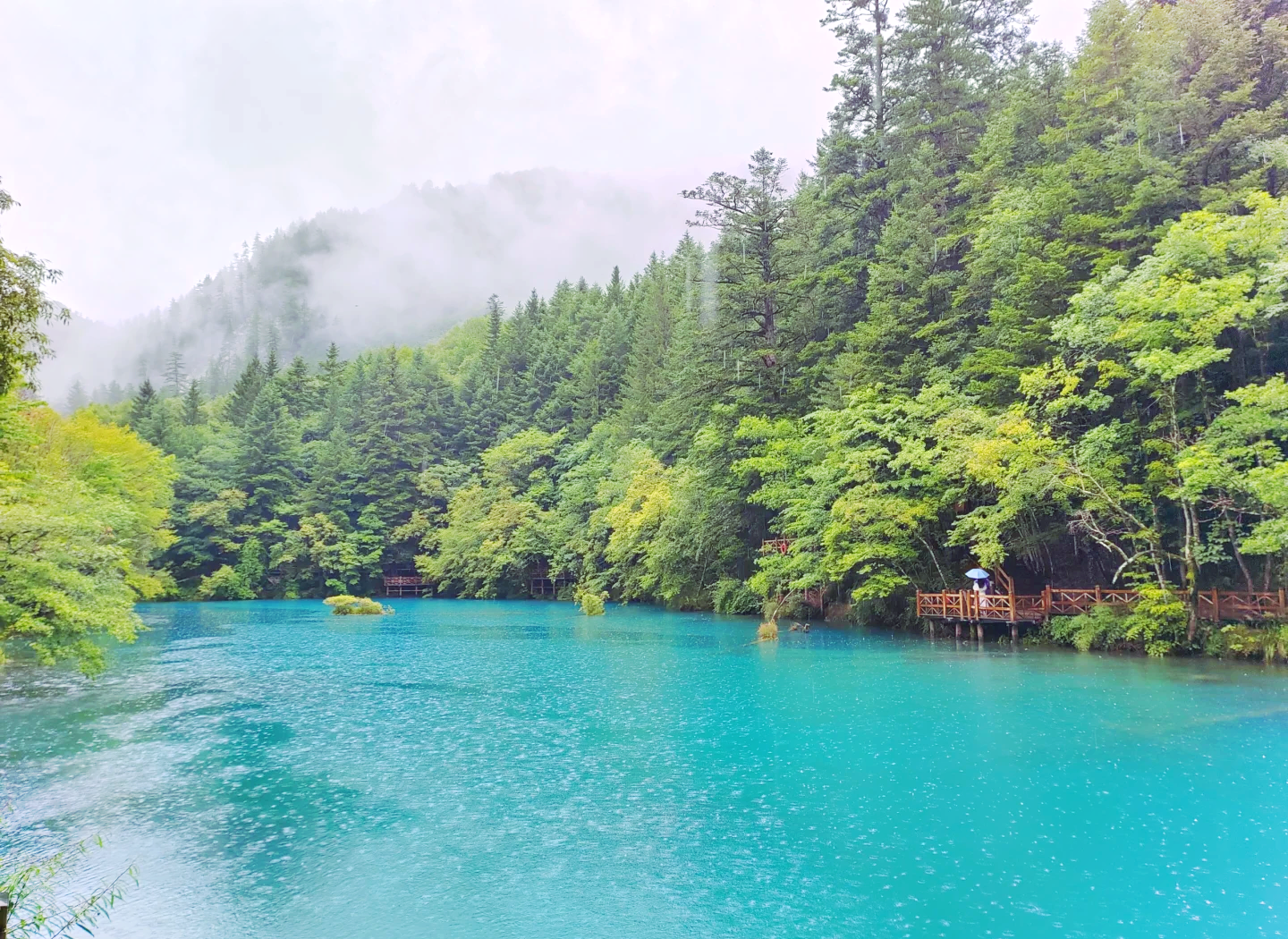 九寨沟天气(九寨沟天气预报30天气)