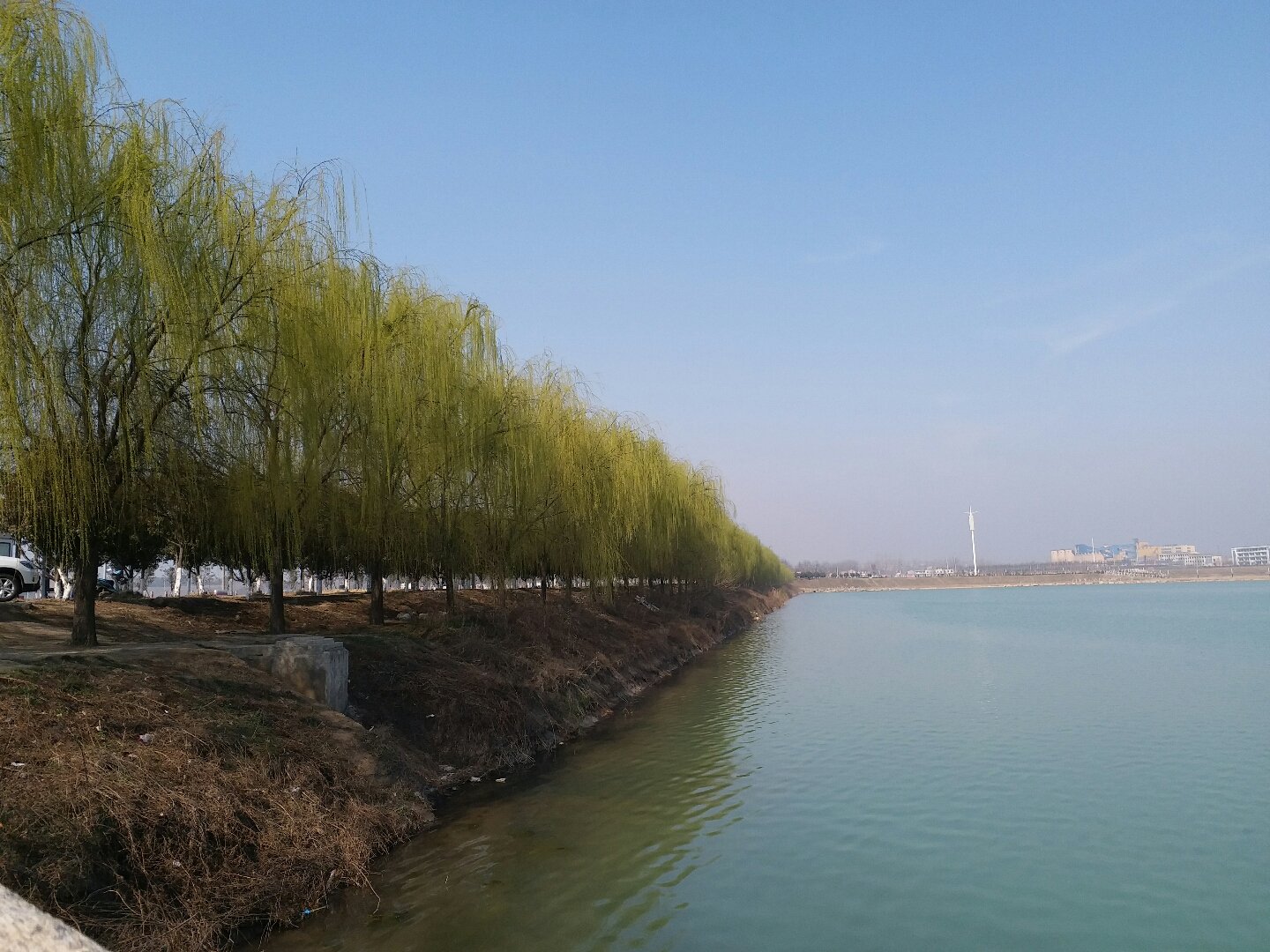 永城天气(永城天气40天)