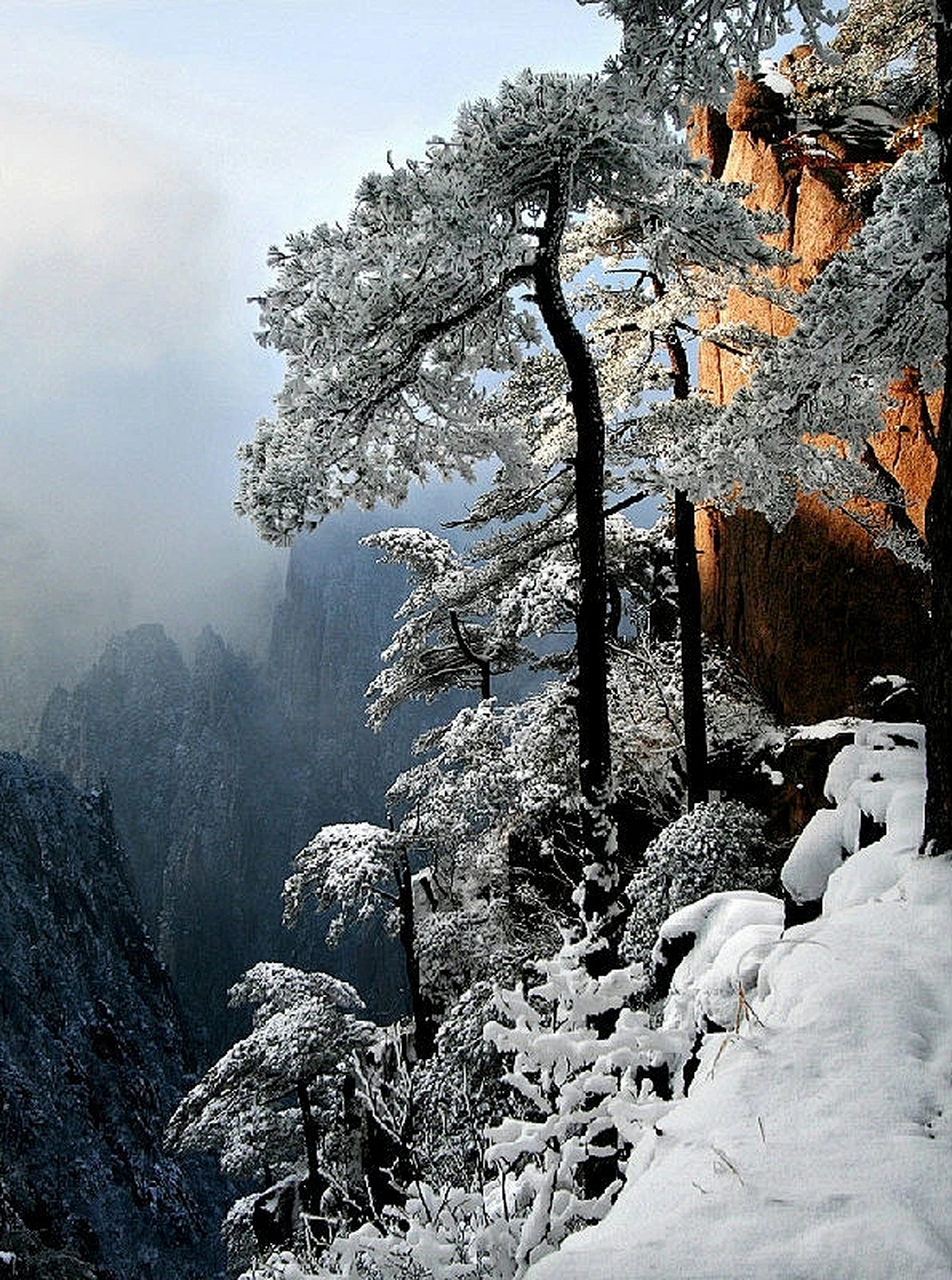 十一黄山天气(十一黄山天气预报)