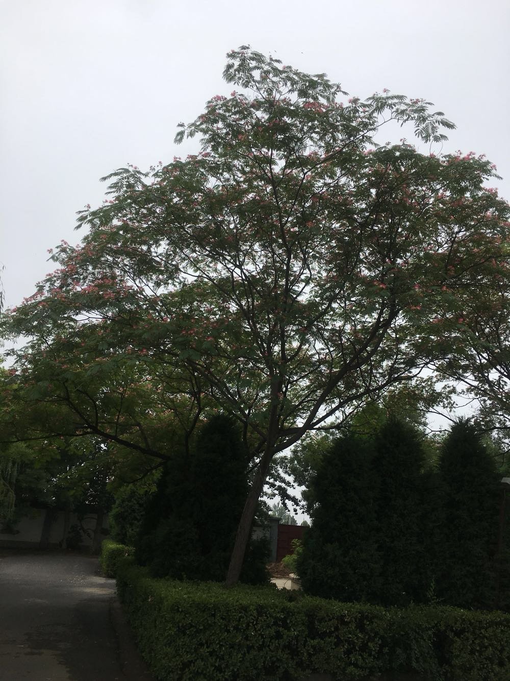 东光天气预报(东光天气预报40天准确)