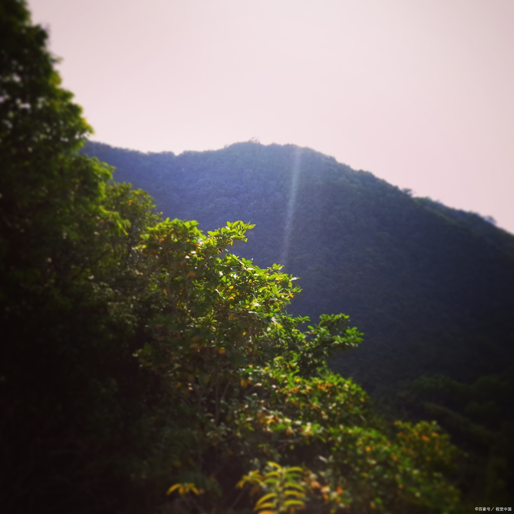 天目山天气(天目山天气预报7天)