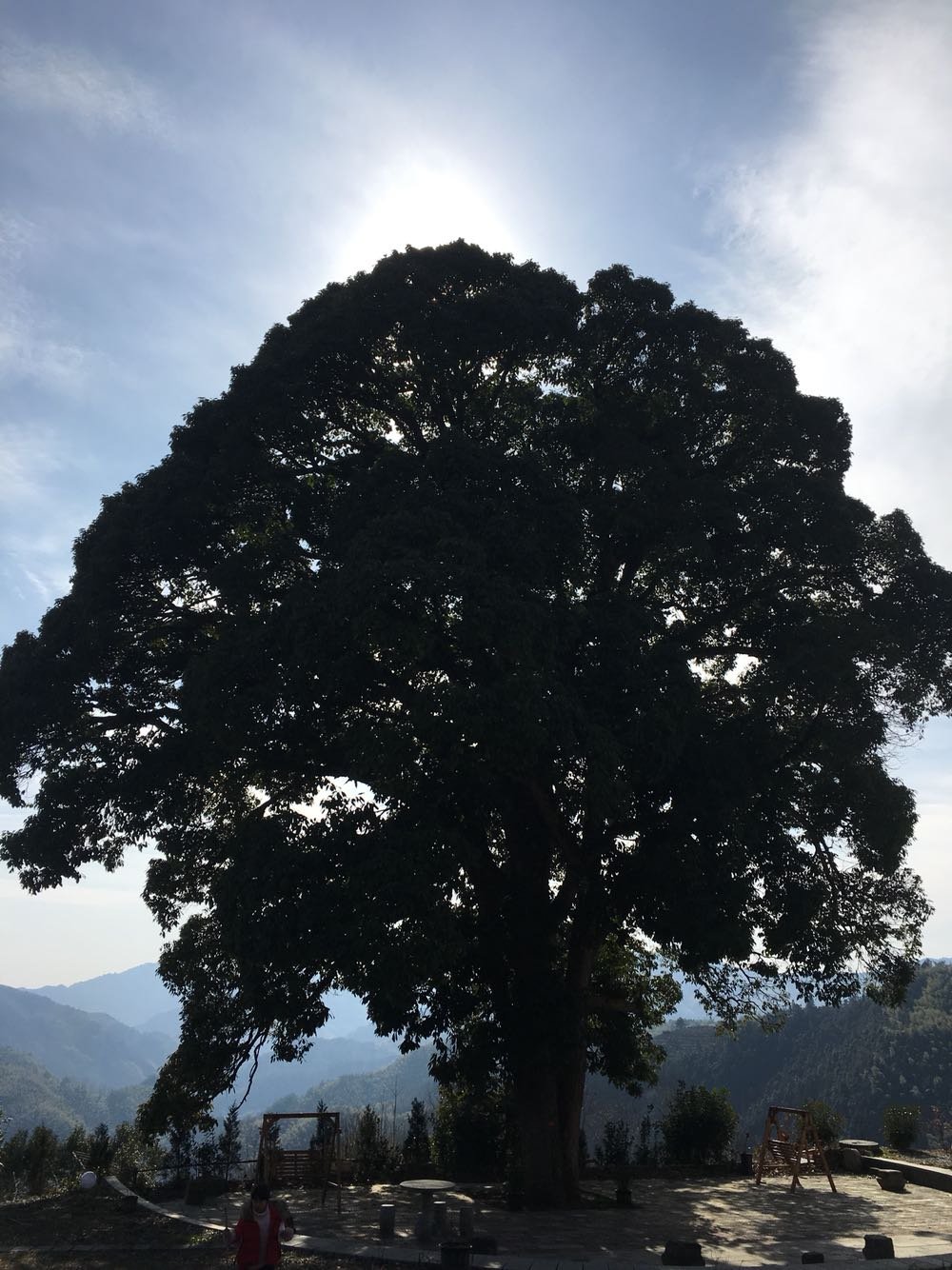 绩溪天气预报(江西未来30天天气预报)