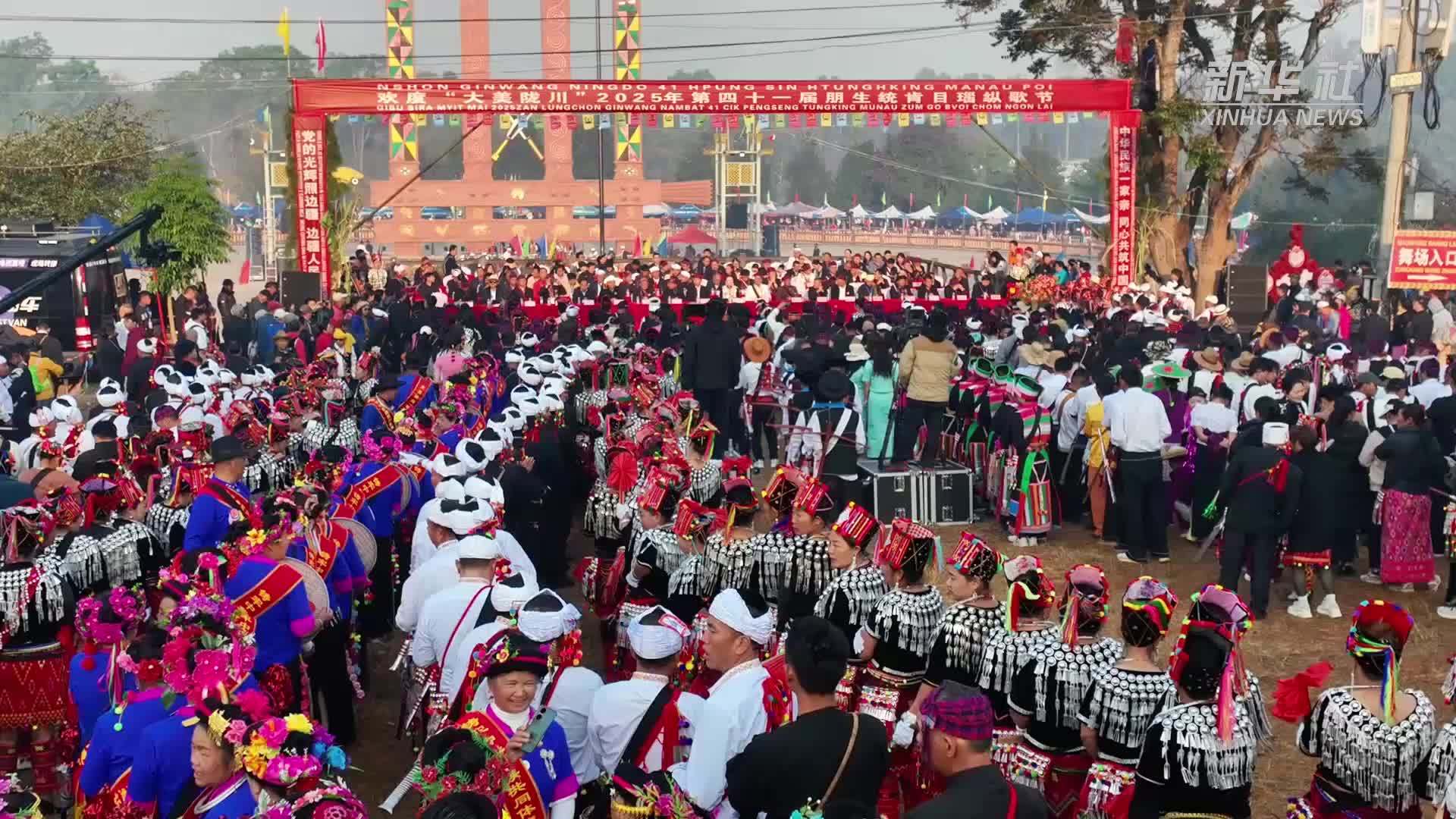 云南陇川(云南陇川熊胆粉价格)