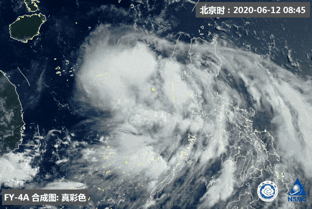 深圳台风鹦鹉(台风预警信号深圳)