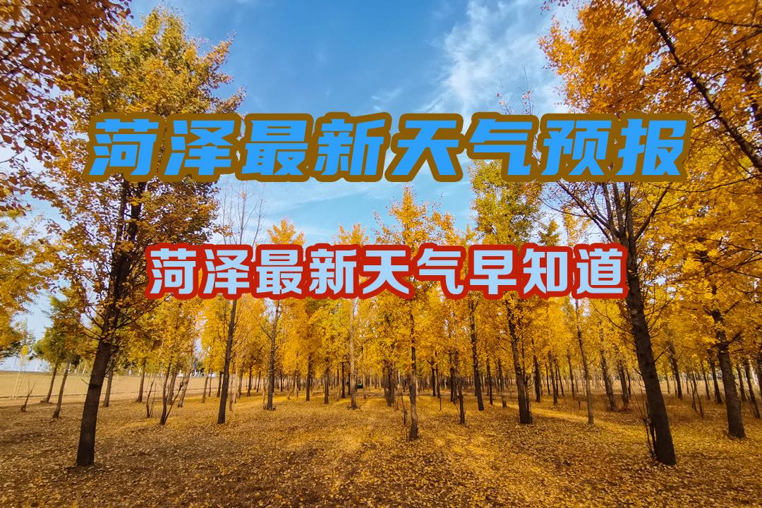 荷泽天气(菏泽天气预报15天查询)