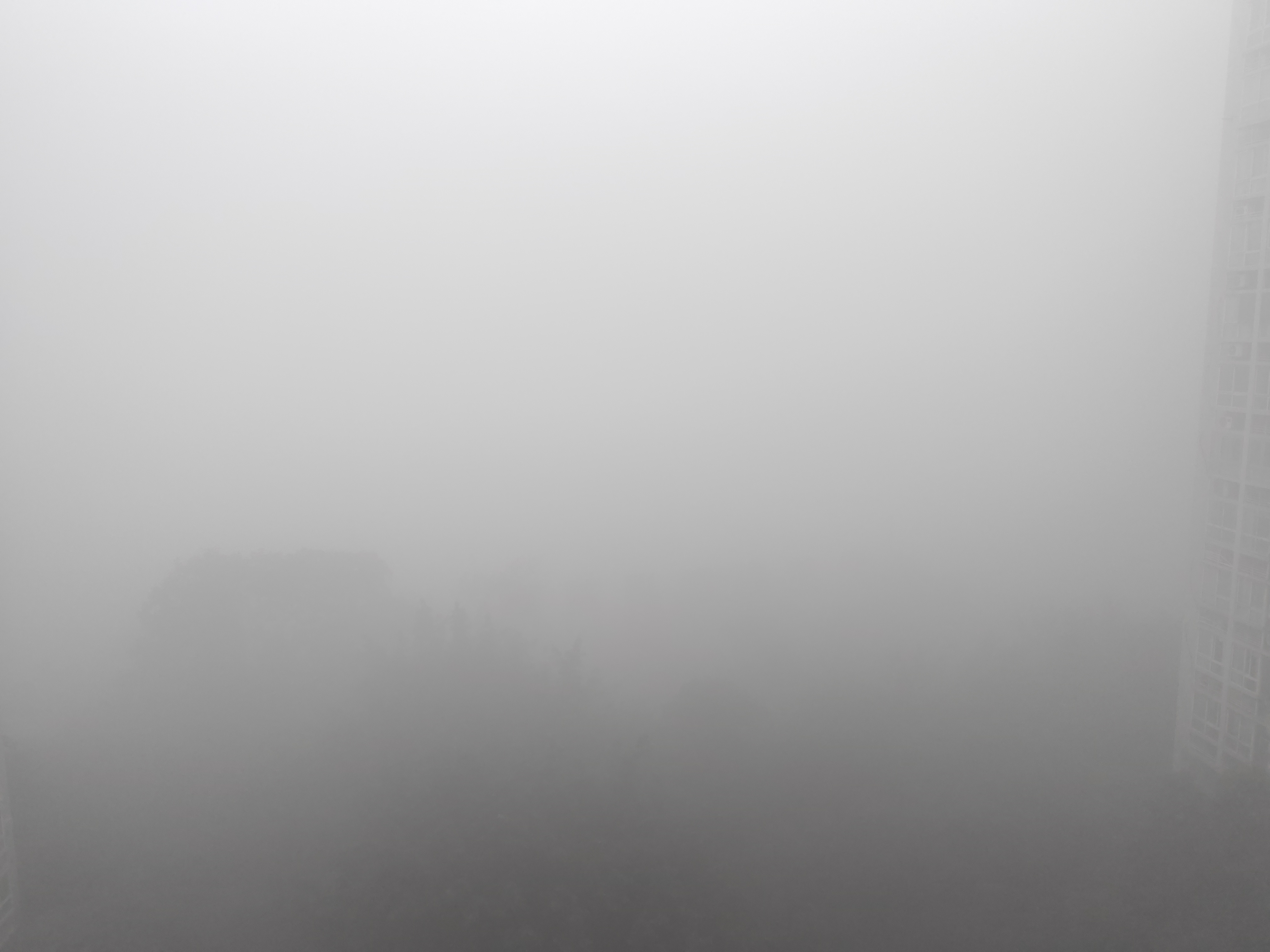 北碚天气(北碚天气预报)