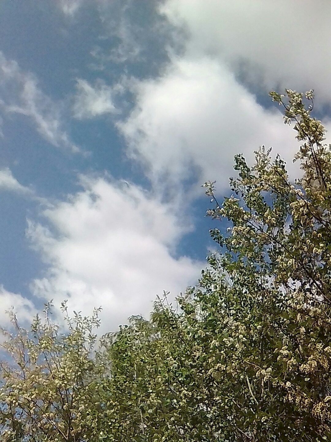 葫芦岛绥中天气(葫芦岛绥中天气预报30天)
