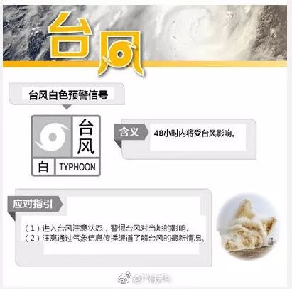 台风白鹿实时路径(台风白鹿即将登陆实时)