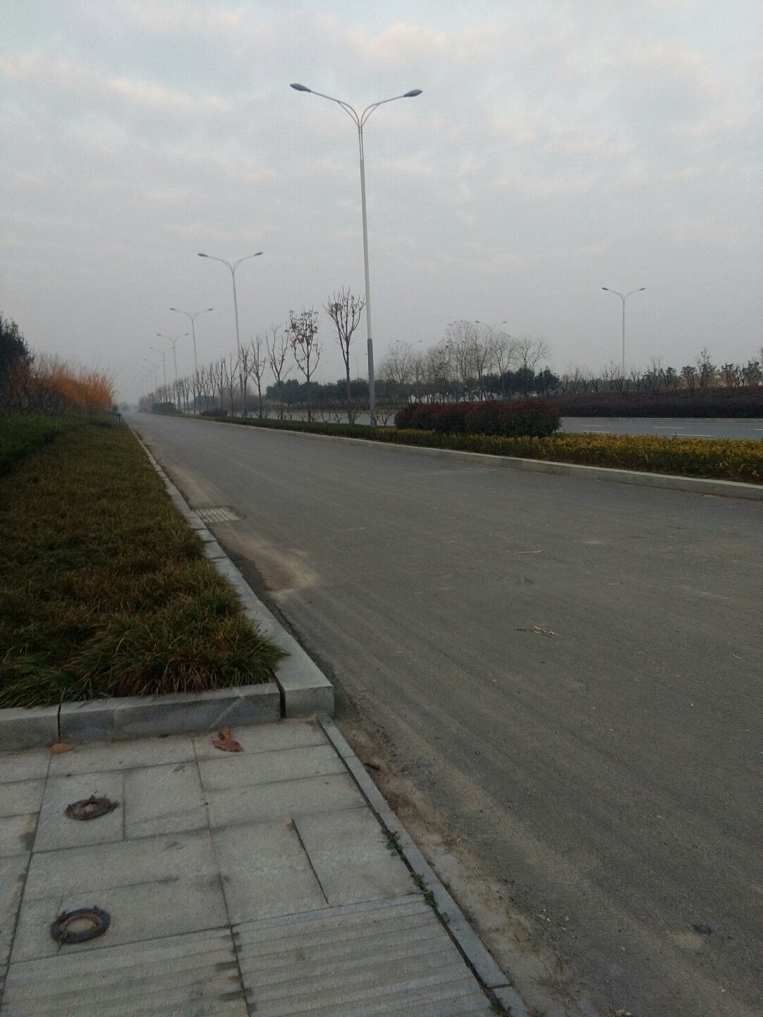 平舆天气(平舆逮捕名单照片)