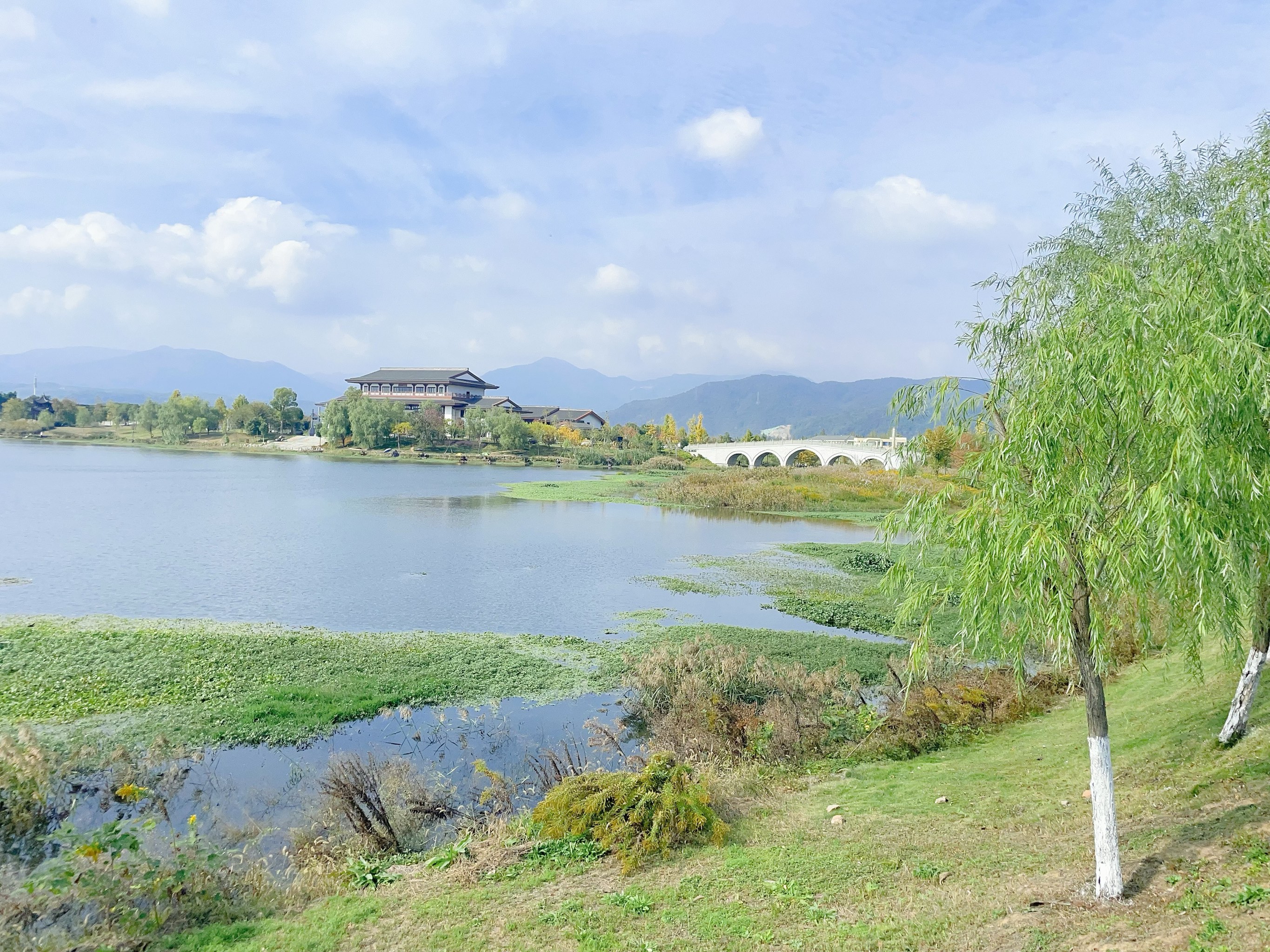 嵊州天气(嵊州天气预报15天准确一览表)