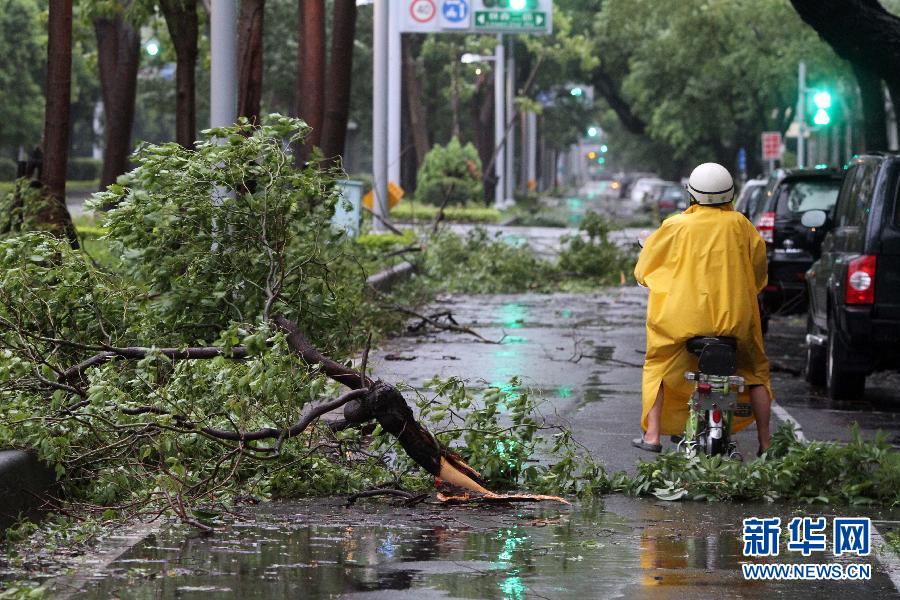 台湾台风网(台湾台风资讯网)