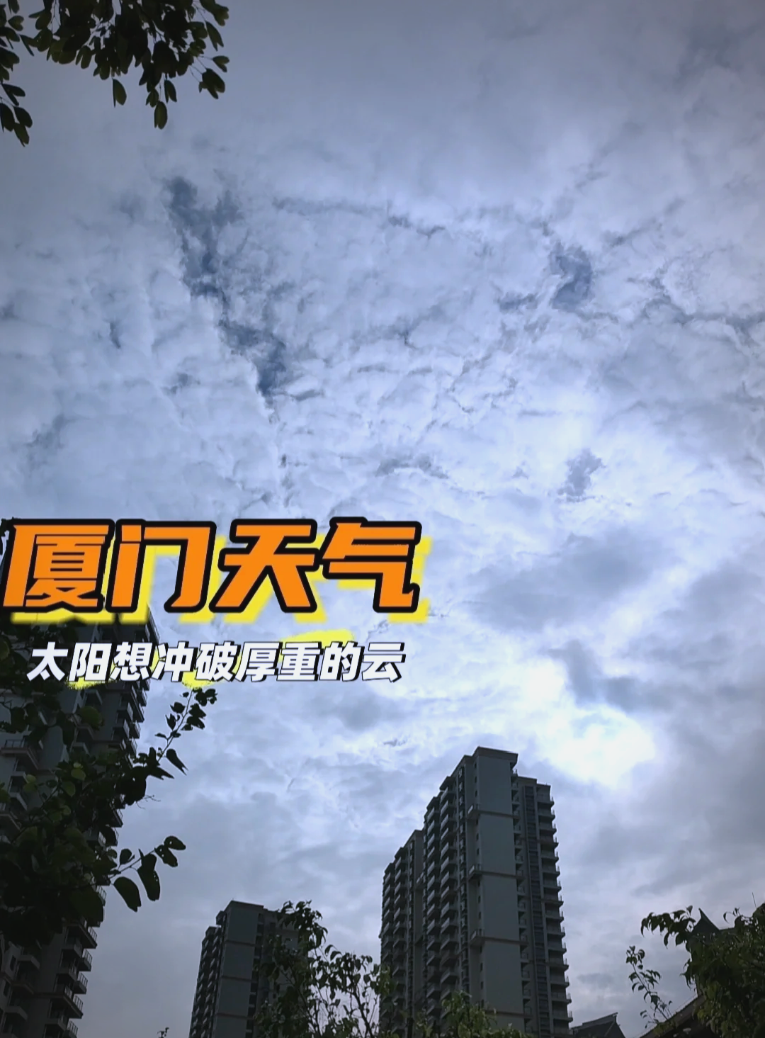 厦门今日天气(厦门今日天气预报 24小时)