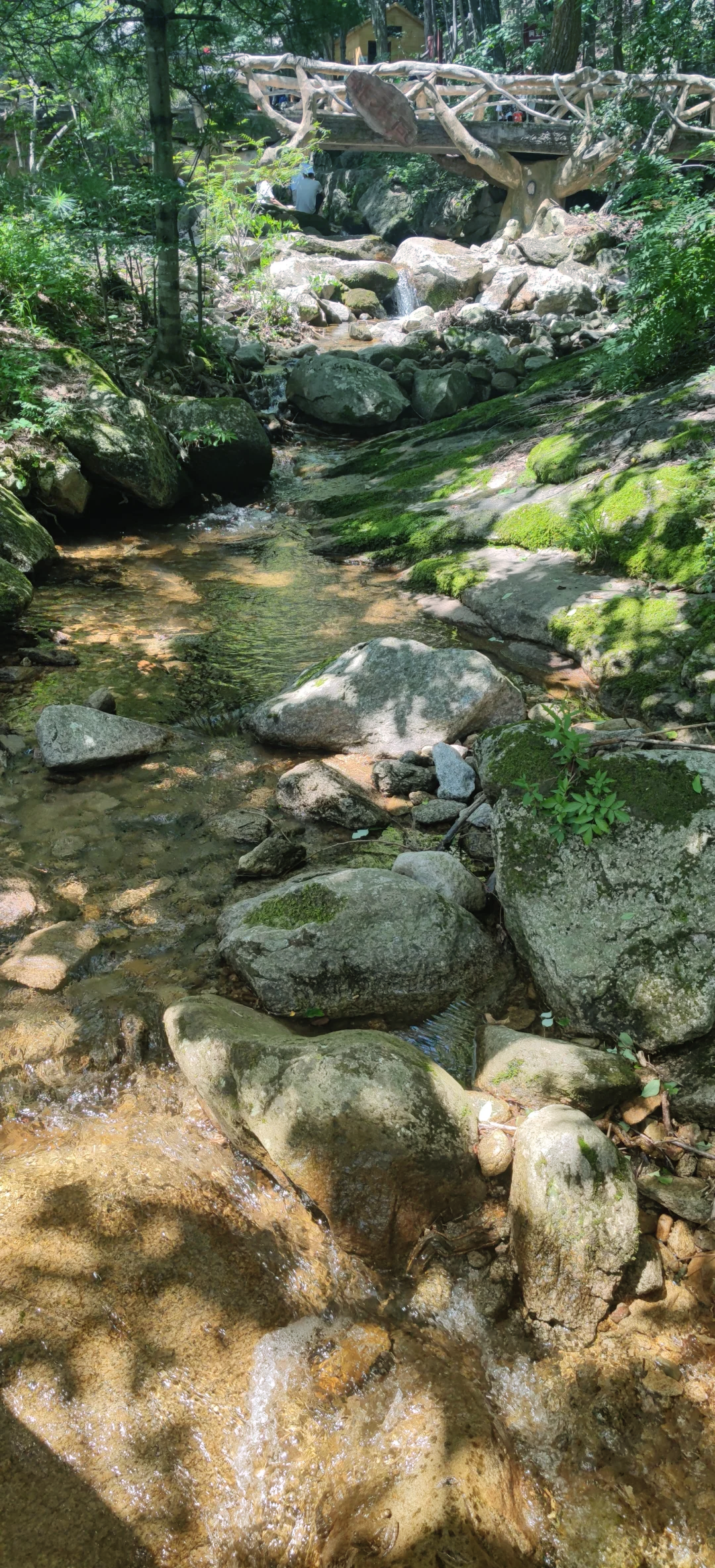 木扎岭天气(木札岭天气预报最新)