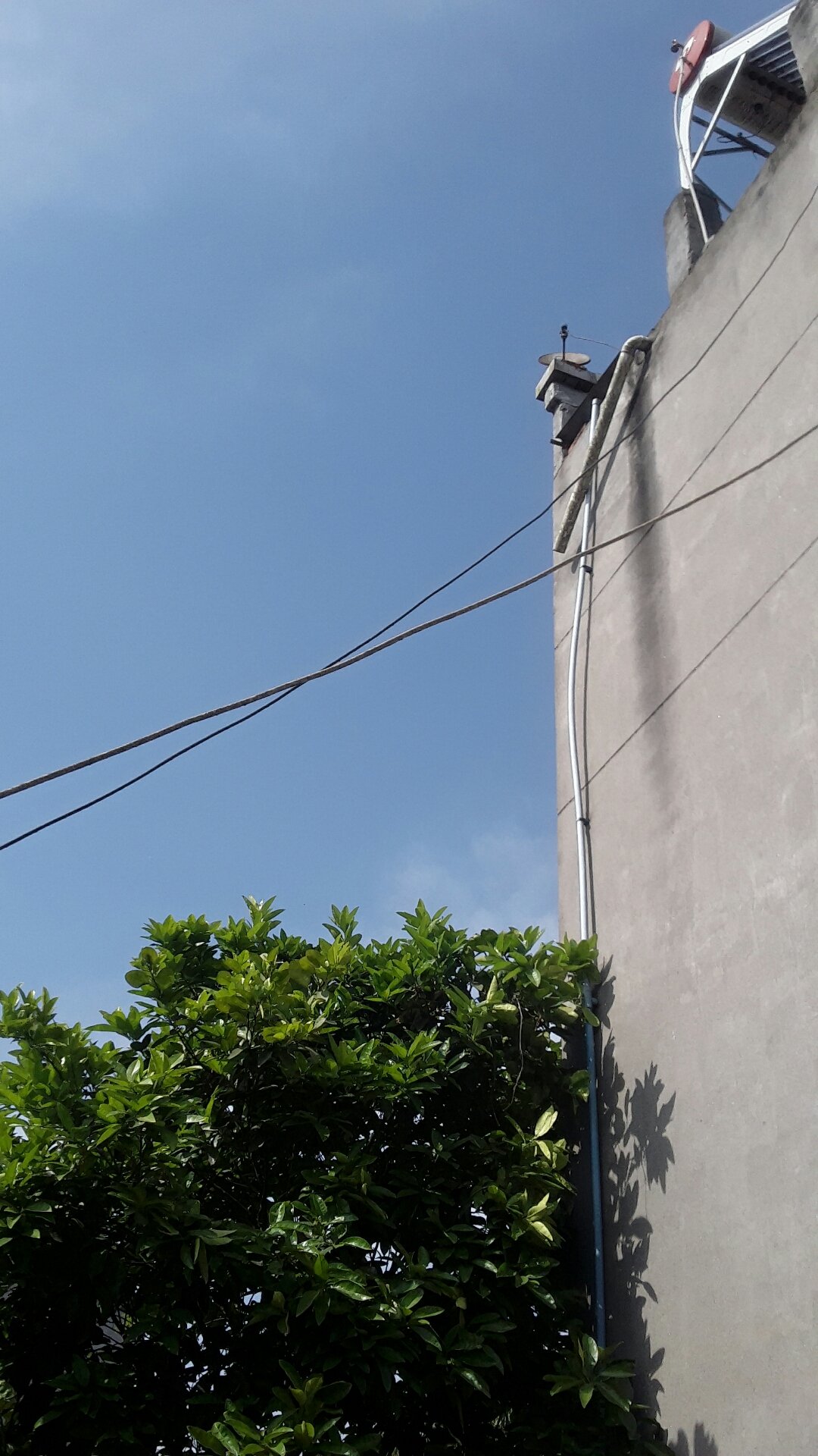 黄龙溪天气预报(四川黄龙溪天气预报)