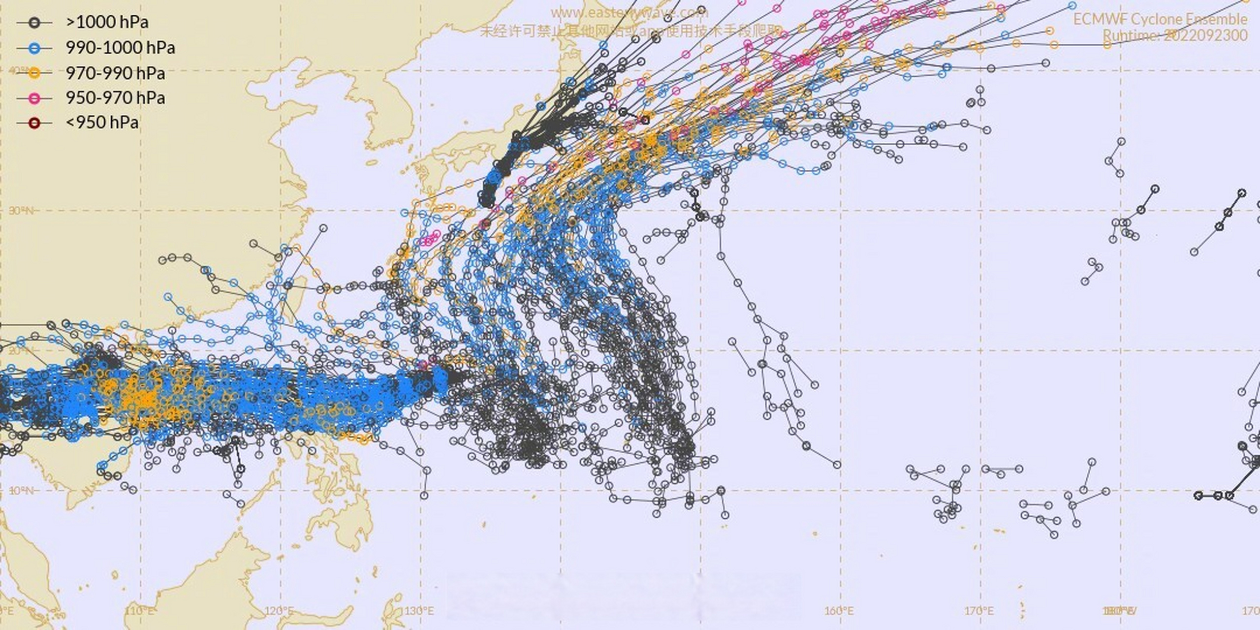 台风奥鹿(台风奥鹿广东)