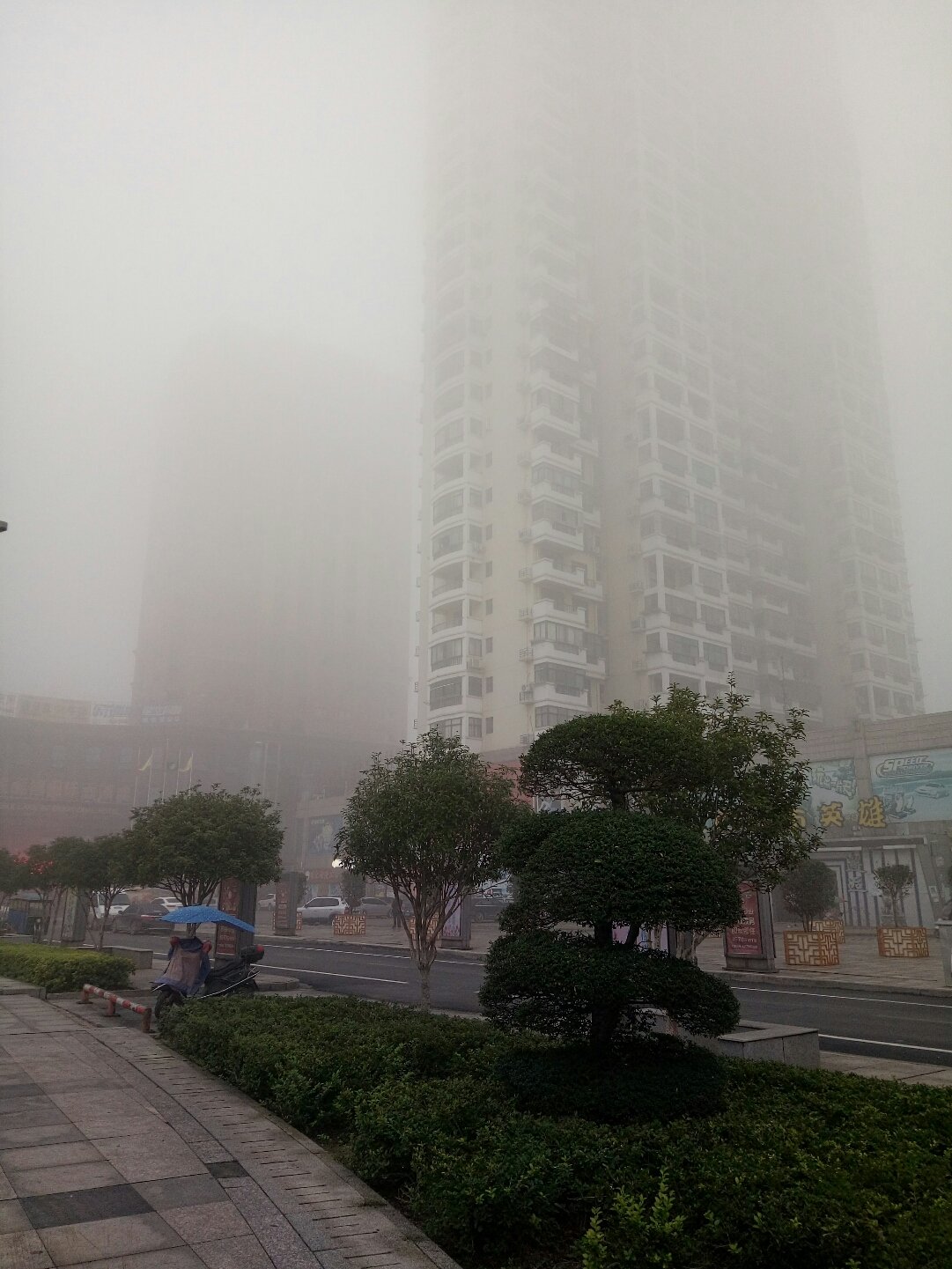 高安市天气(高安市天气预报一周天气)