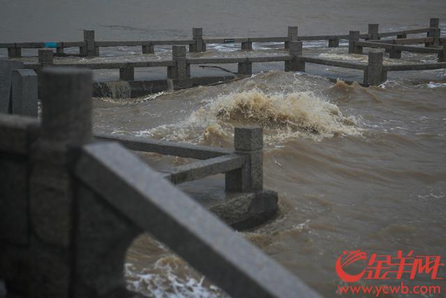珠海台风(珠海台风天鸽是哪一年)