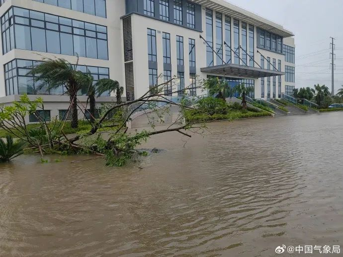 海口台风最新消息今天(海口台风最新消息今天飞机)