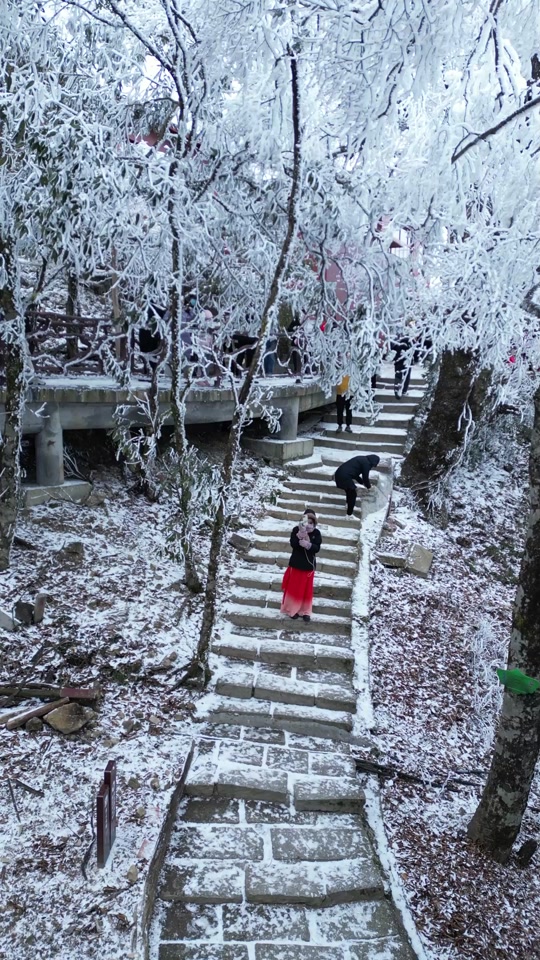 莽山天气(莽山天气预报)