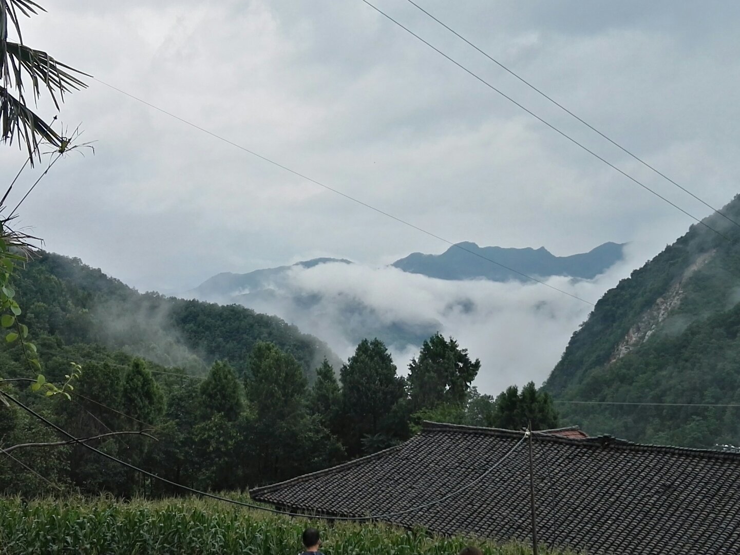 略阳天气(略阳天气预报)