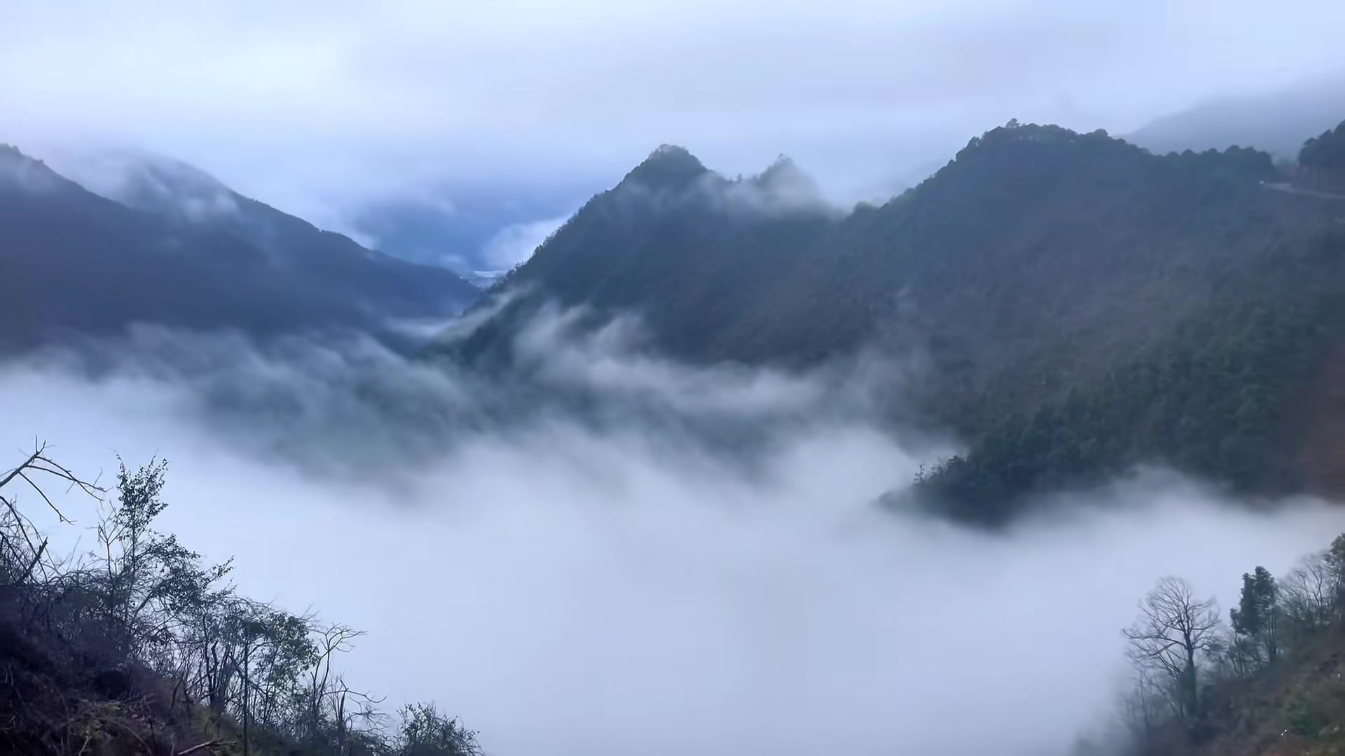 双牌天气(双牌天气一星期)