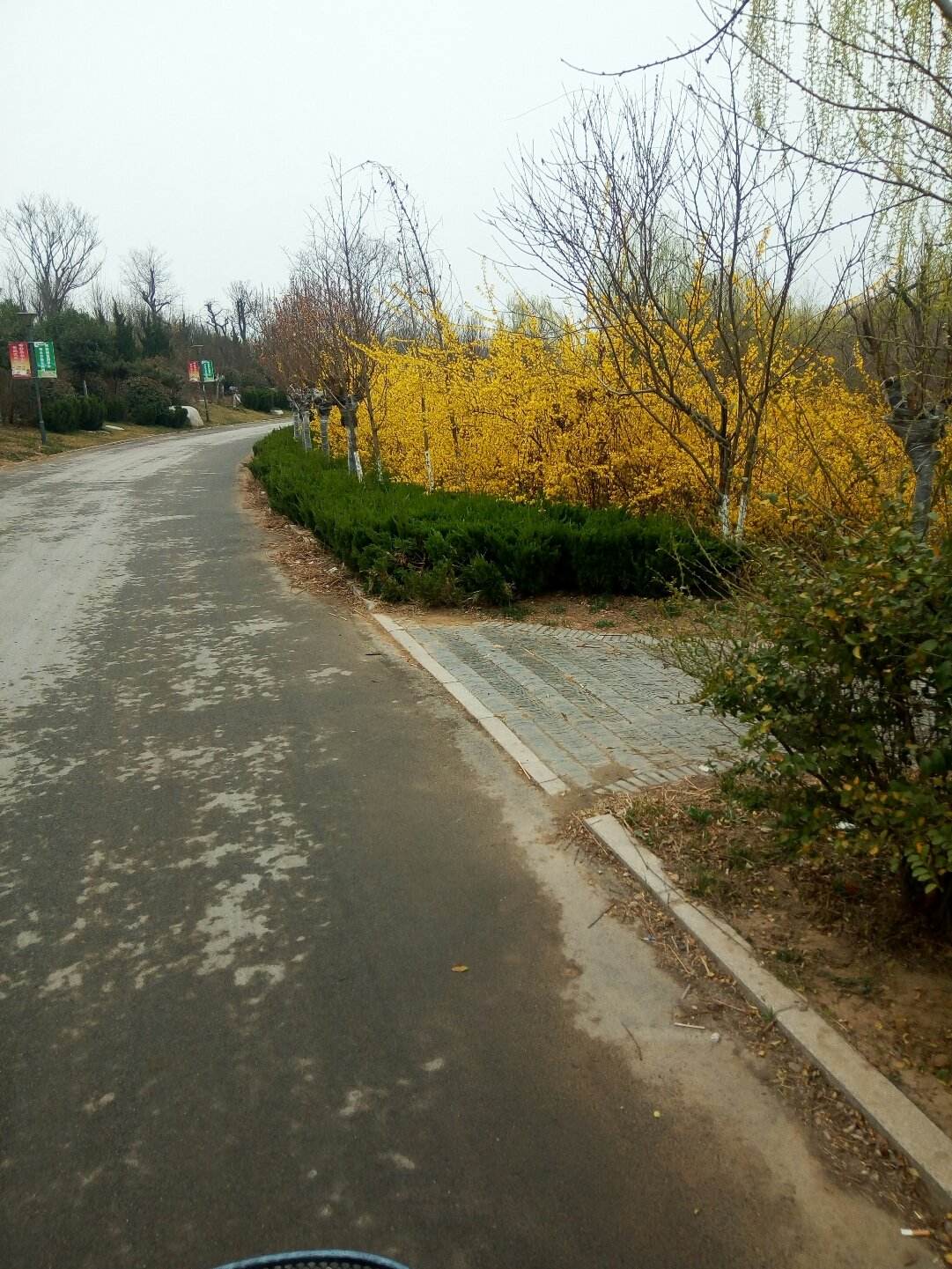 临清天气(临清天气预报30天查询结果)