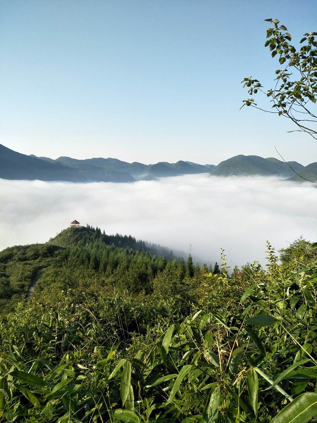 丰都天气预报(丰都天气预报15天查询百度)