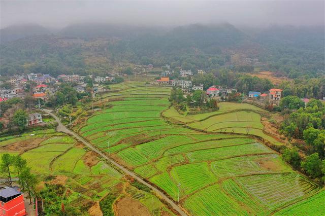 江西芦溪(江西芦溪旅游景点)