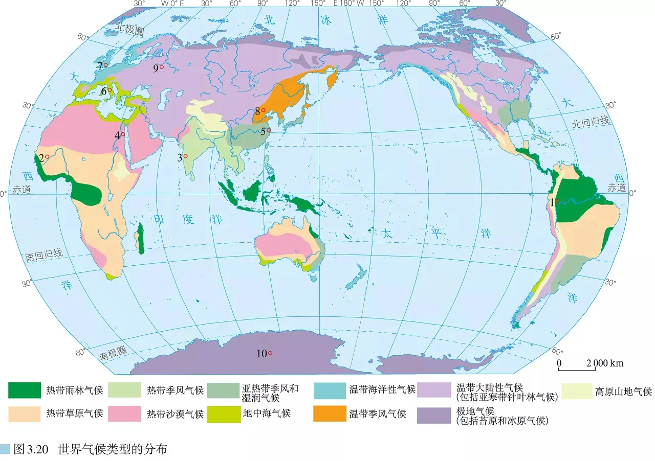 亚热带气候(亚热带气候主要分布在哪里)