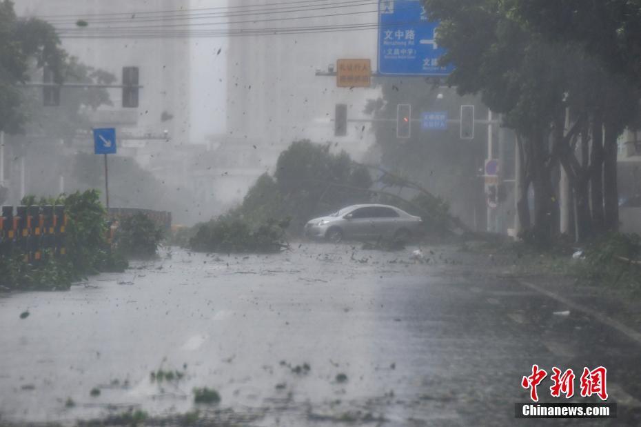 海南台风最新消息今天(海南台风最新消息今天走势图)